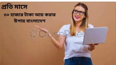 প্রতি-মাসে-৩০-হাজার-টাকা-আয়-করার-উপায়-বাংলাদেশ